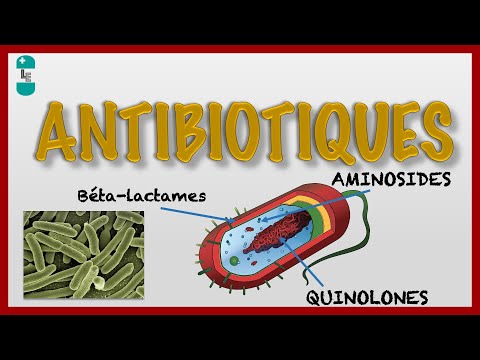Vidéo: Les antibiotiques sont-ils des biocides ?