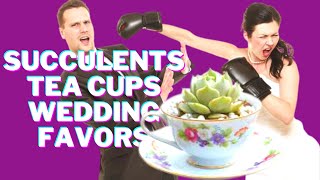 Brilliant Gift Tips for Succulents in Tea Cups Wedding Favors Newbies