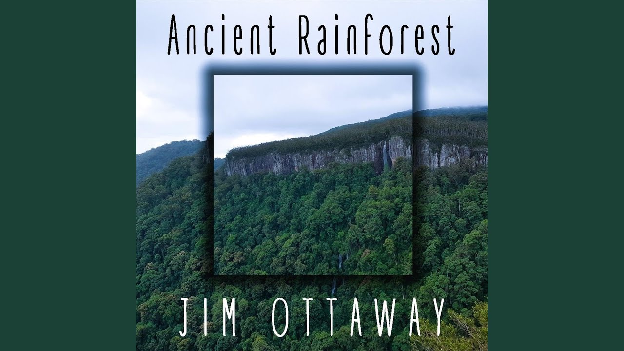 Watch Ancient Rainforest on YouTube Watch Ancient Rainforest on YouTube