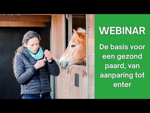 Webinar Paard - De basis voor een gezond paard, een gezonde start is het halve werk.