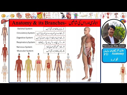 FTJ/Anatomy Lecture 1اناٹومی/ اناٹومی کی شاخیں/Anatomy/Urdu/Hindi/Hakeem Ijaz Elahi Azeemi