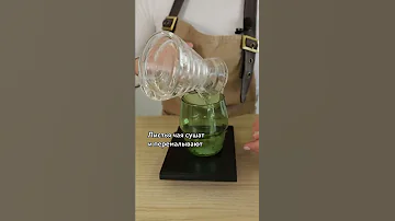 Классический рецепт матча латте