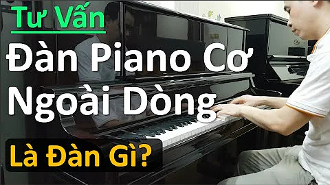 ✅ Đàn Piano Cơ Japan Tầm Giá Trên Dưới 30 Triệu | Đàn Piano Cơ Ngoài Dòng Nhật Bản | Tuấn Lưu Piano