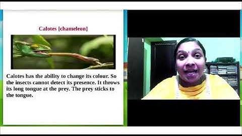 Online class EVS | STD 3 | Chapter - 2 | PART - 2