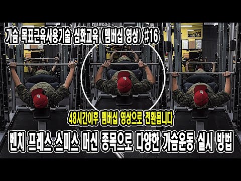 벤치 프레스 <strong>스미스</strong> 머신 종목으로 다양한 가슴운동 실시 방법 | 가슴 목표근육사용기술 심화교육 #16 | JM WORKOUT | 대표 김정민