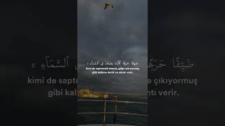 Enam süresi Ayet | 125-126 Said Dubaha #quran_tilavetii #kuran #quran #enamsuresi