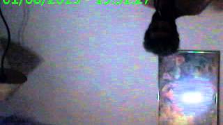 Capture 20150801 10