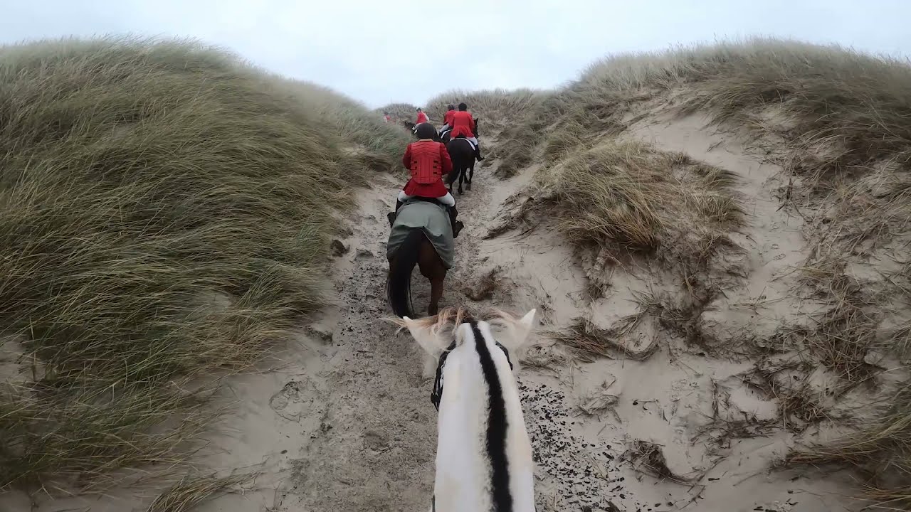 Hubertusjagt Blåvandshuk 2021