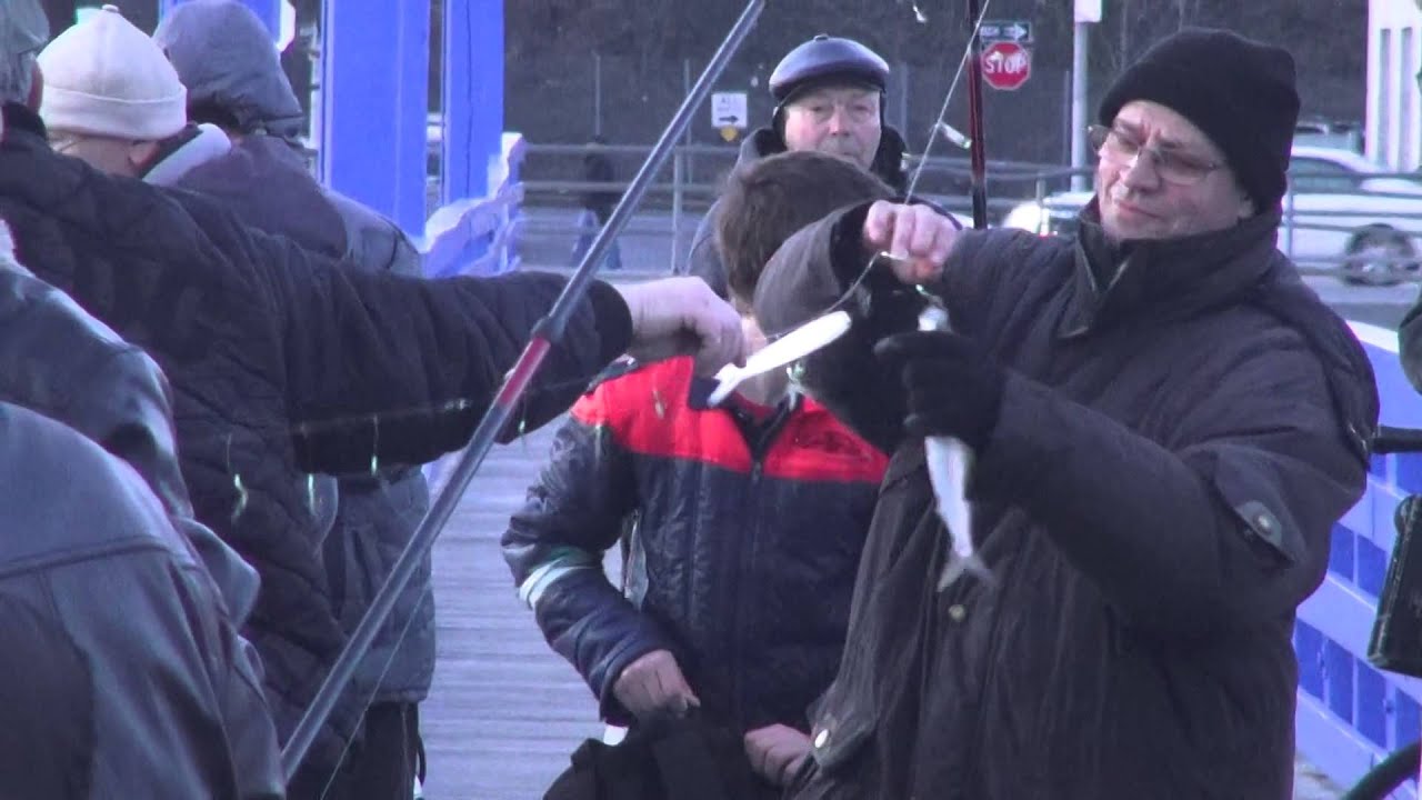 herring fishing at sheepshead bay brooklyn YouTube