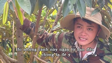 Tạo tán sầu riêng 1 năm và 2 năm tuổi, phân biệt cành vượt, cành đực, cành cái trên cây sầu riêng.
