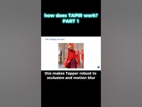 How does TAPIR work? - YouTube