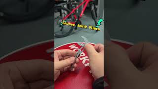 Small Frame, Big Bite. https://www.amazon.com/dp/B0DNM3HJW1