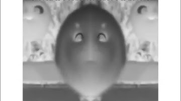 All preview 2 sunny bunnies deepfakes V671 in G Major 11