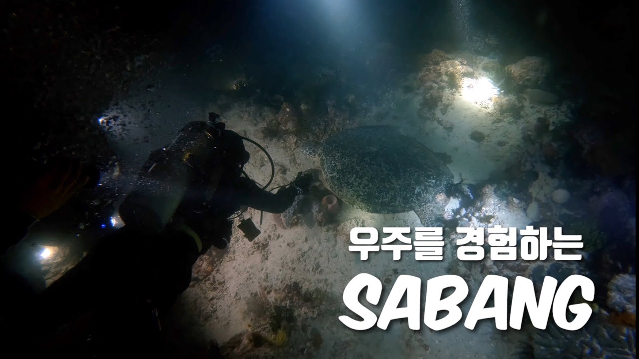 [4K] 하루 4탱크도 부족해서 야간다이빙까지 즐겨버린 사방 l 씨퀸다이브리조트 | Sabang Beach