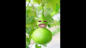 "This Talking Vegetable Has a Challenge for YOU! Win a Prize!"