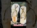 Survival items #primitive #bushcraft #shortsvideo #Pretechnology