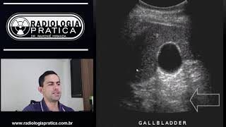 Ultrassonografia conceitos basicos formacao da imagem ecografica ULTRASSONOGRAFI