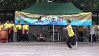香港功夫表演2015年5月10日蔡李佛趙民安