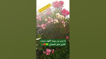 #قرآن #سورة_الكهف #ماهر_المعيقلي#ترند #راحة_نفسية #اكسبلور #طقس #الطبيعة #تلاوة_خاشعة #تلاوة #آيات
