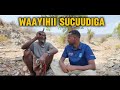 SHEEKO XIISO LEH Waayihii Ahmed Caalin Ee Sucuudiga Jacayl Guur Qisooyin Layaab Leh SHEEKO XIISO LEH Waayihii Ahmed Caalin Ee Sucuudiga Jacayl Guur Qisooyin Layaab Leh