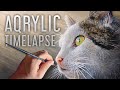 Acrylic Speed Painting Cat