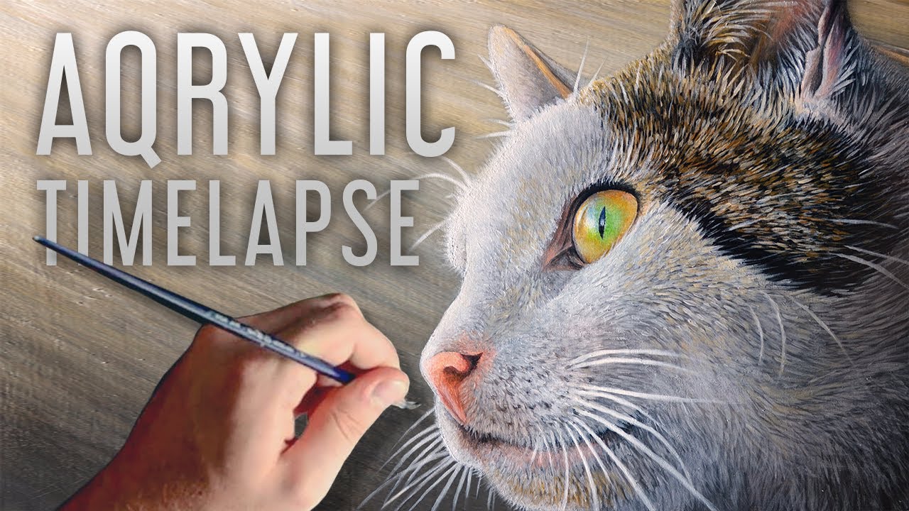 Acrylic Speed Painting  Cat  YouTube