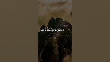 (الم ترى ان الله يسبح له من في السموات والارض) القارئ عبد الباسط عبد الصمد