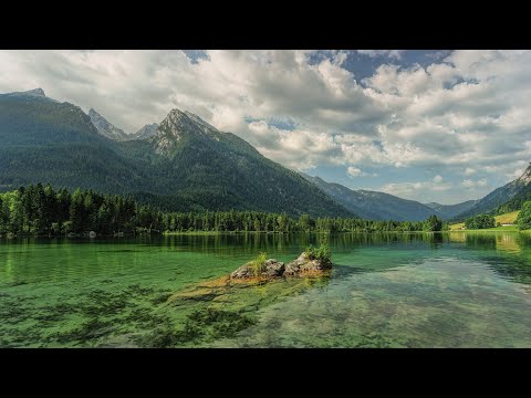 שידור חי - הרה"ג הרב ישראל אברג'ל שליט"א