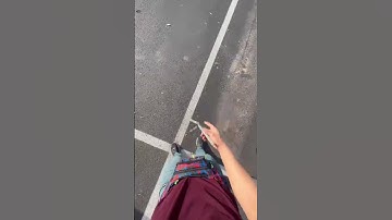 Balisong Giraffe 🦒