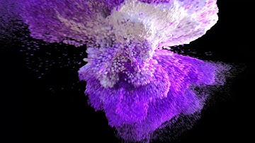 Houdini Animation - Purple Particles