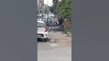 امرأة مجنونة ت طعم مئات الحمام في الجزائر تنشر الخير في المدينة 