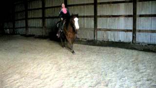 Nemo Cantering 1