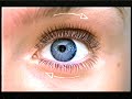 C4 Ads BiO03 2005 