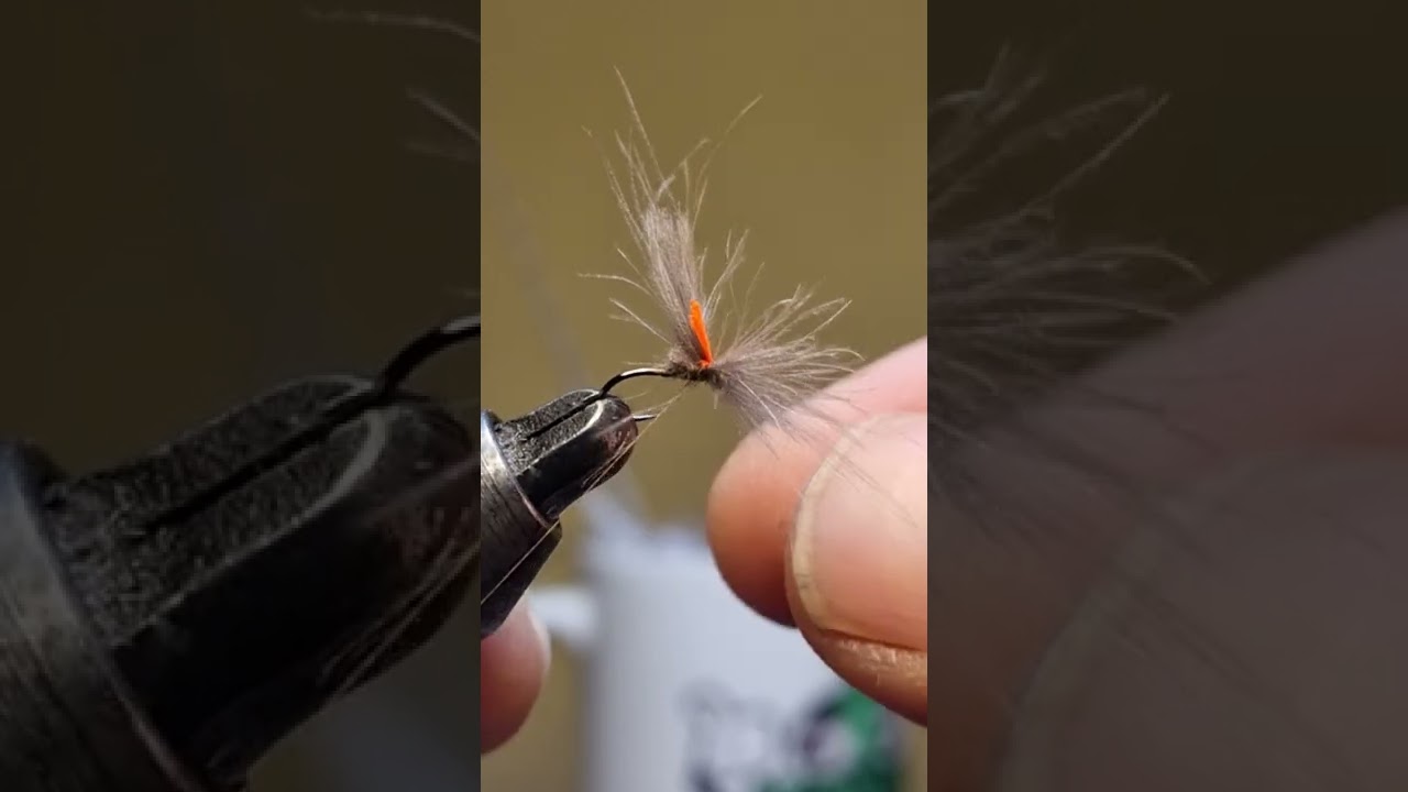 una efemera de otro mundo 🌎 😁