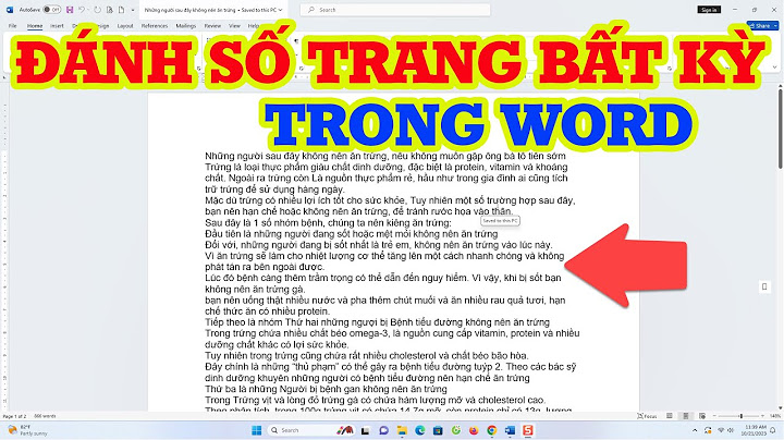 Hướng dẫn đánh số trang