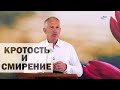 Кротость и смирение - Владимир Дубасюк