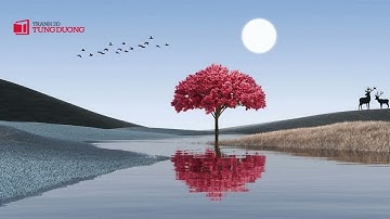 | TRANH 3D TÙNG DƯƠNG