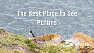 THE BEST PLACE TO SEE PUFFINS | Just 2 Hours from Dublin, Ireland