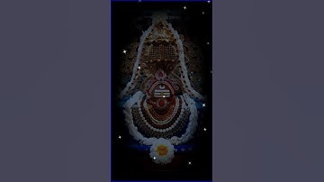 Shiv Ji Mahadev Devo Ke Dev Mahadev Mahakal Ujjain Whatsapp Status Bhakti Status Ringtone Ringtone