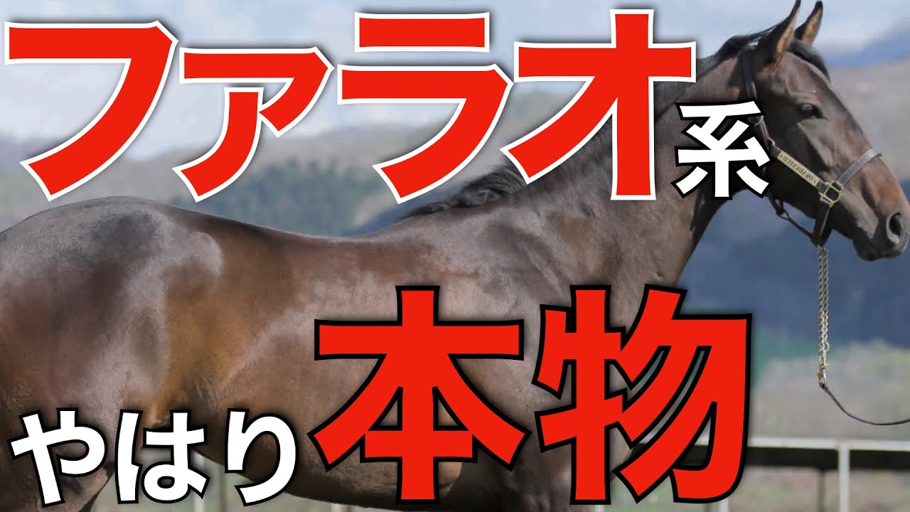 The American Pharaoh lineage is truly suited to Japan! His