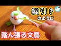 豆苗運動会? 綱引きのように踏ん張る文鳥が可愛い♥