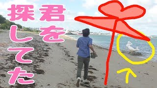 沖縄にいる人魚を探せ＃2