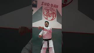 Famous UCHI UKE Net Worth