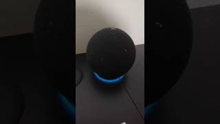 Alexa me Contou um Segredo que Vocês não vai acreditar! Minha Echo dot