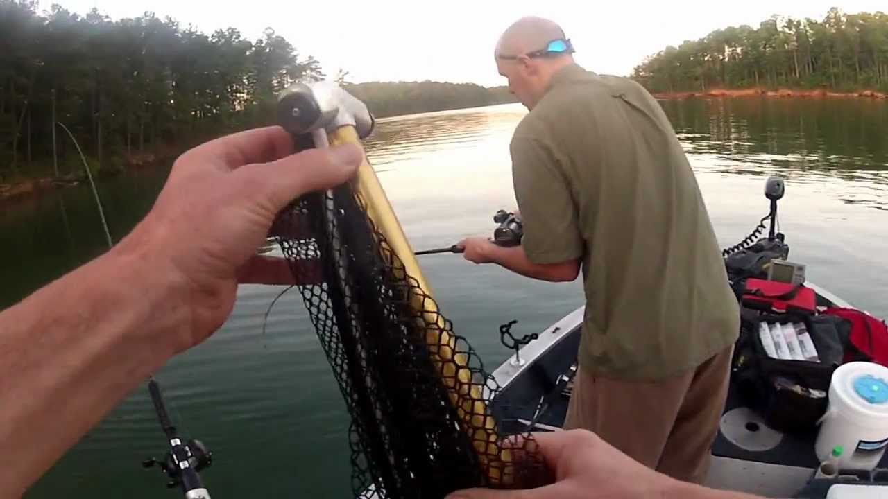 Hybrid Striper fishing with Humminbird and Lakemaster tools YouTube