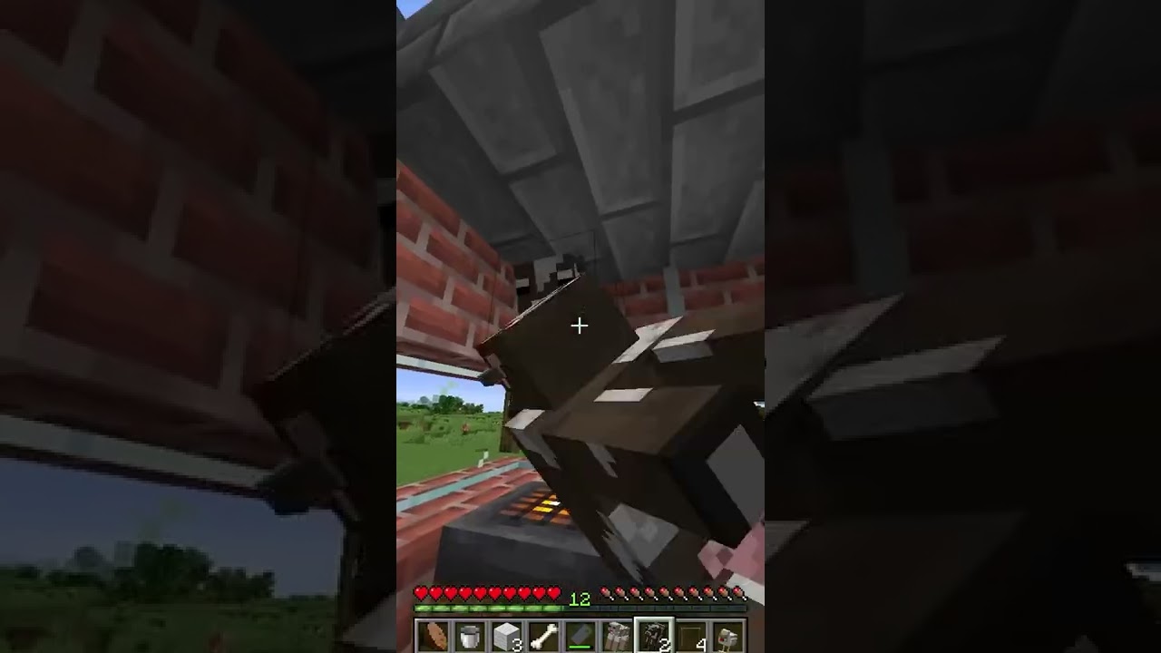 My Top secret Business in Minecraft 