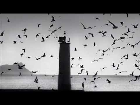 The Cinematic Orchestra   Arrival of The Birds  Transformation