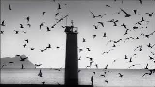 The Cinematic Orchestra   Arrival of The Birds & Transformation