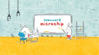 What is a Microchip?