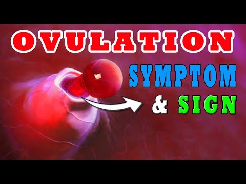 Ovulation Symptoms: How To Know When You Are Ovulating